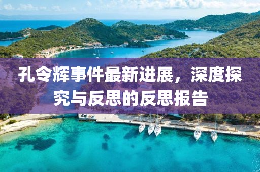 孔令辉事件最新进展，深度探究与反思的反思报告