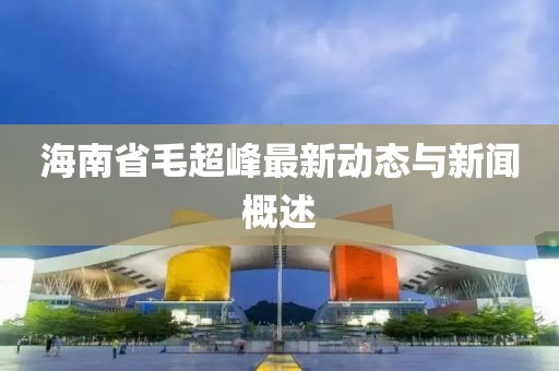 海南省毛超峰最新动态与新闻概述