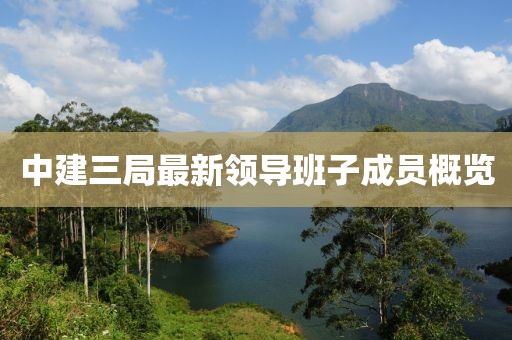 中建三局最新领导班子成员概览