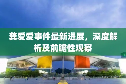 龚爱爱事件最新进展，深度解析及前瞻性观察