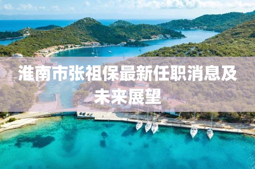 淮南市张祖保最新任职消息及未来展望