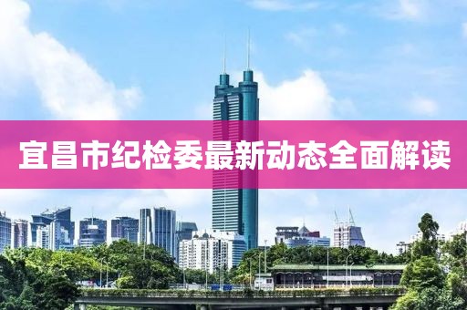 宜昌市纪检委最新动态全面解读