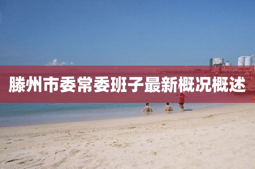 滕州市委常委班子最新概况概述