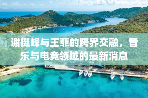 谢挺峰与王菲的跨界交融，音乐与电竞领域的最新消息