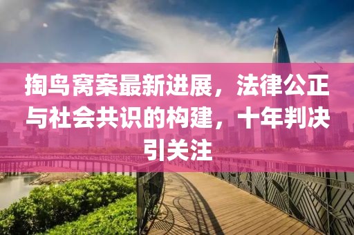 掏鸟窝案最新进展，法律公正与社会共识的构建，十年判决引关注