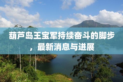 葫芦岛王宝军持续奋斗的脚步，最新消息与进展