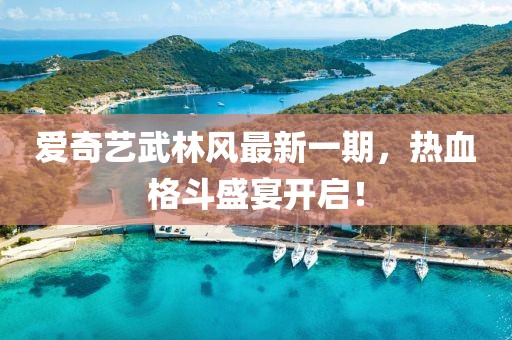 爱奇艺武林风最新一期，热血格斗盛宴开启！