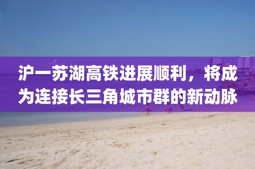 沪一苏湖高铁进展顺利，将成为连接长三角城市群的新动脉