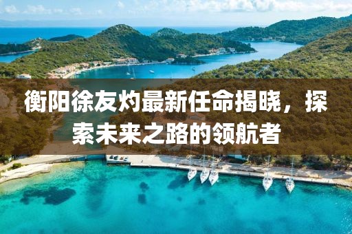 衡阳徐友灼最新任命揭晓，探索未来之路的领航者