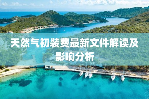肆战作王 第4页