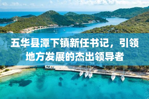 五华县潭下镇新任书记，引领地方发展的杰出领导者