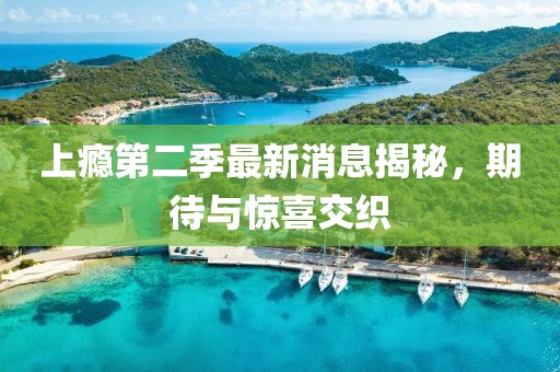 上瘾第二季最新消息揭秘，期待与惊喜交织