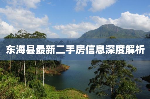 东海县最新二手房信息深度解析