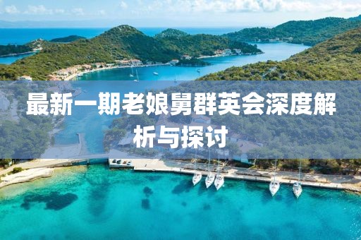 最新一期老娘舅群英会深度解析与探讨