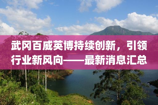 武冈百威英博持续创新，引领行业新风向——最新消息汇总
