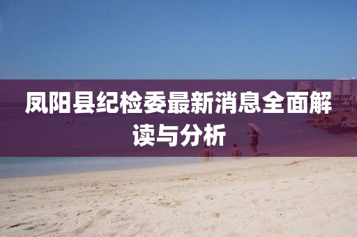 凤阳县纪检委最新消息全面解读与分析