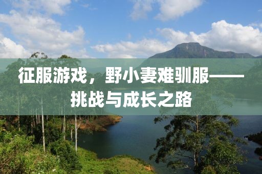 征服游戏，野小妻难驯服——挑战与成长之路