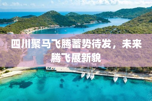 四川聚马飞腾蓄势待发，未来腾飞展新貌
