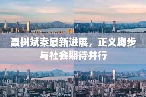 聂树斌案最新进展，正义脚步与社会期待并行