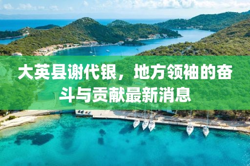大英县谢代银，地方领袖的奋斗与贡献最新消息