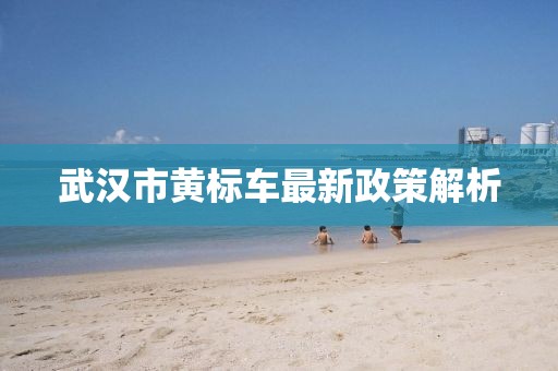 武汉市黄标车最新政策解析