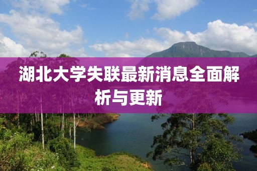 湖北大学失联最新消息全面解析与更新