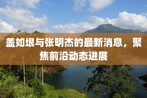 盖如垠与张明杰的最新消息，聚焦前沿动态进展