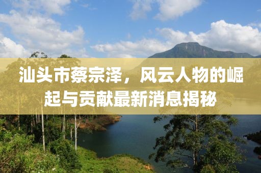 汕头市蔡宗泽，风云人物的崛起与贡献最新消息揭秘