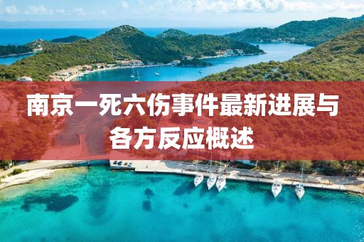 南京一死六伤事件最新进展与各方反应概述