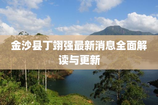 金沙县丁翊强最新消息全面解读与更新