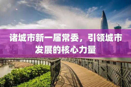 诸城市新一届常委，引领城市发展的核心力量