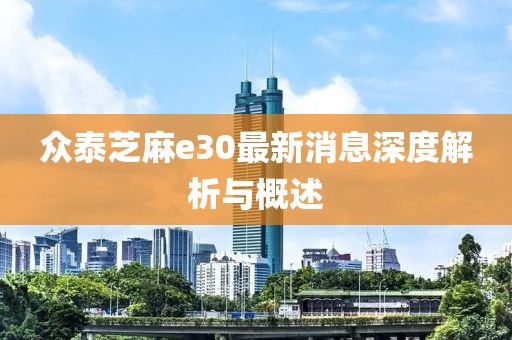 众泰芝麻e30最新消息深度解析与概述