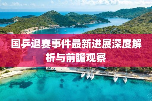 国乒退赛事件最新进展深度解析与前瞻观察