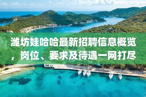 潍坊娃哈哈最新招聘信息概览，岗位、要求及待遇一网打尽