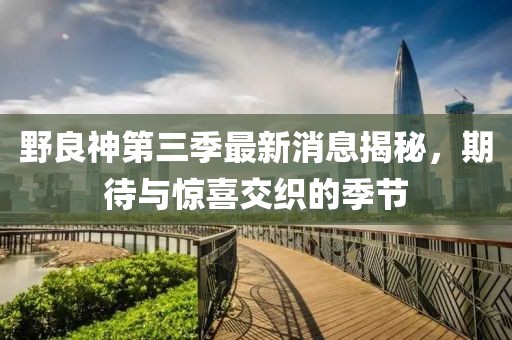 野良神第三季最新消息揭秘，期待与惊喜交织的季节