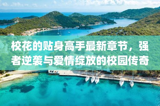 校花的贴身高手最新章节，强者逆袭与爱情绽放的校园传奇