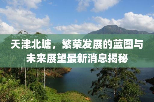 天津北塘，繁荣发展的蓝图与未来展望最新消息揭秘