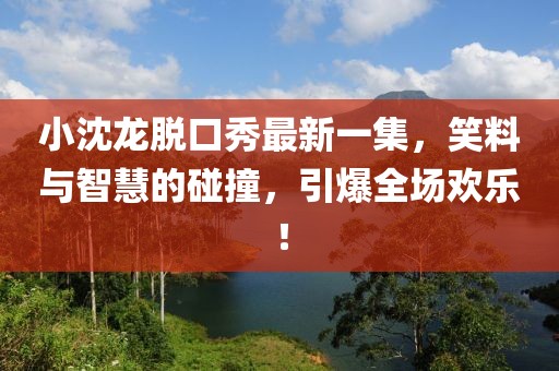 小沈龙脱口秀最新一集，笑料与智慧的碰撞，引爆全场欢乐！
