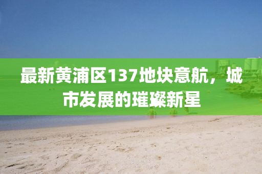 最新黄浦区137地块意航，城市发展的璀璨新星
