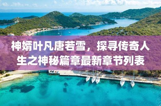神婿叶凡唐若雪，探寻传奇人生之神秘篇章最新章节列表