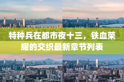 特种兵在都市夜十三，铁血荣耀的交织最新章节列表