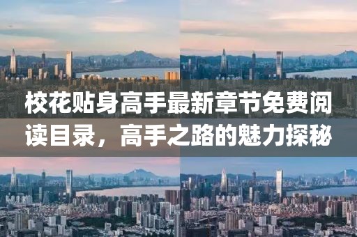 校花贴身高手最新章节免费阅读目录，高手之路的魅力探秘