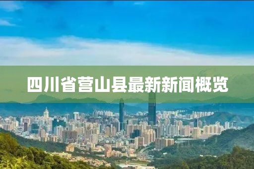 四川省营山县最新新闻概览