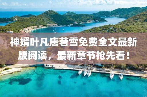 神婿叶凡唐若雪免费全文最新版阅读，最新章节抢先看！