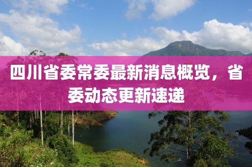 四川省委常委最新消息概览，省委动态更新速递