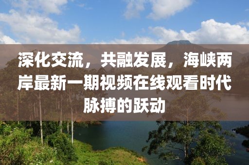 深化交流，共融发展，海峡两岸最新一期视频在线观看时代脉搏的跃动