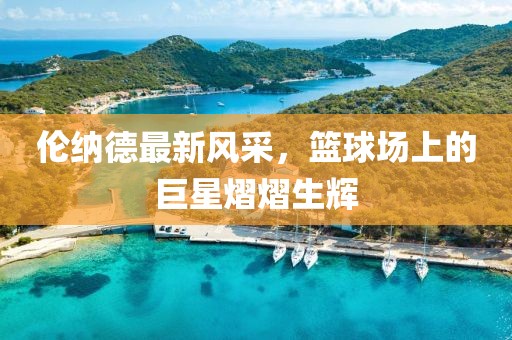 伦纳德最新风采，篮球场上的巨星熠熠生辉