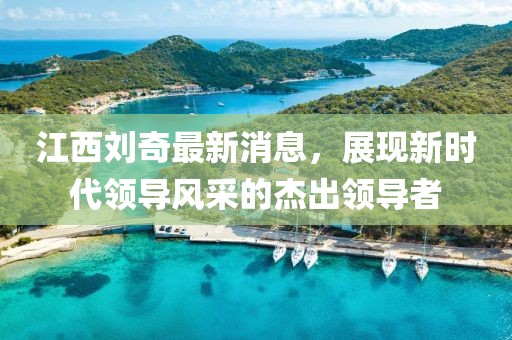 江西刘奇最新消息，展现新时代领导风采的杰出领导者