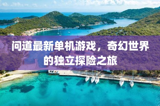 问道最新单机游戏，奇幻世界的独立探险之旅