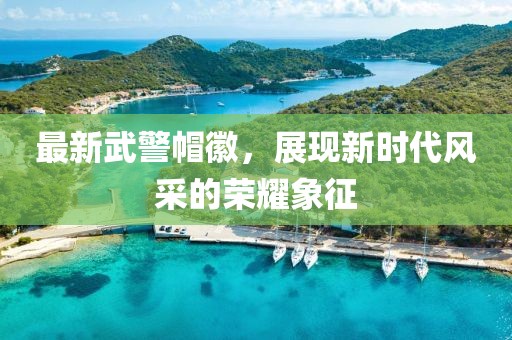 最新武警帽徽，展现新时代风采的荣耀象征